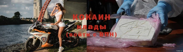 индика Каменка