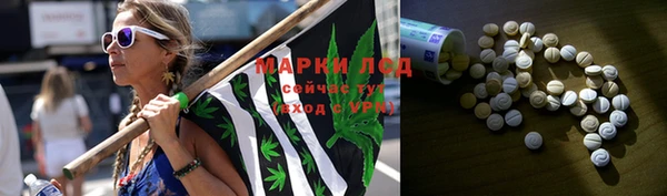 индика Каменка
