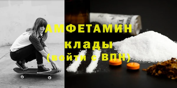 индика Каменка