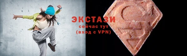 индика Каменка