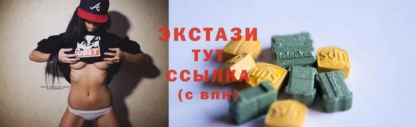 индика Каменка