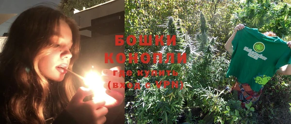 индика Каменка