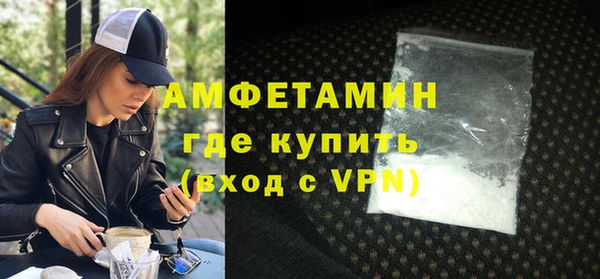 индика Каменка