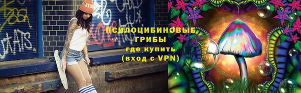 индика Каменка