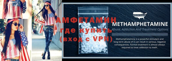 индика Каменка