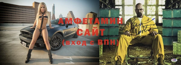 индика Каменка