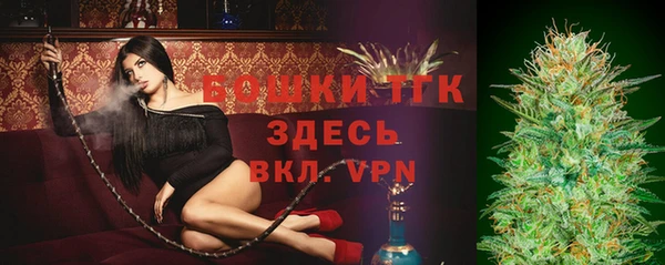 индика Каменка