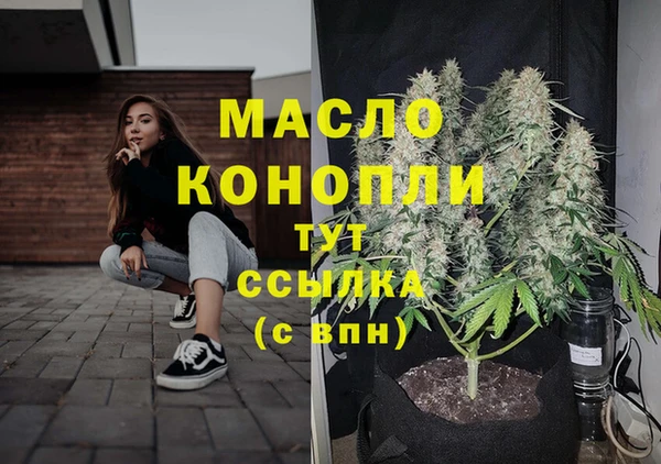индика Каменка