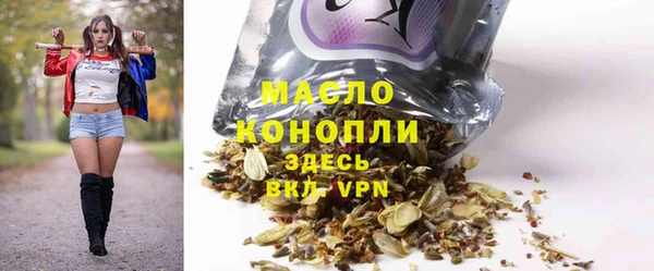 индика Каменка