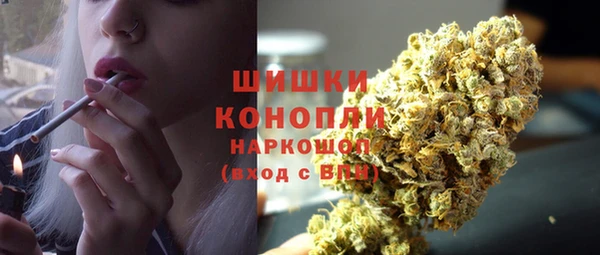 индика Каменка