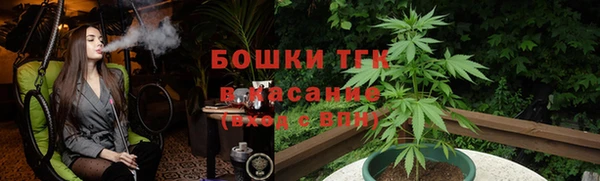 индика Каменка