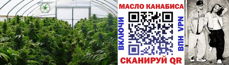 Купить где  Верхний Тагил  Дистиллят ТГК концентрат 