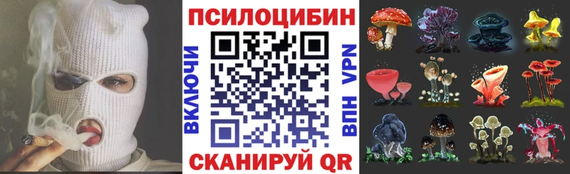 Купить где  Верхний Тагил  Псилоцибиновые грибы прущие грибы 